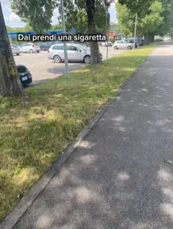 bitch I said