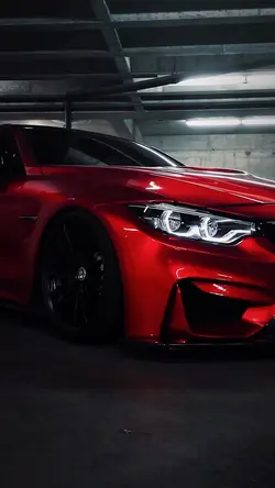 << BMW TREND EDIT >>