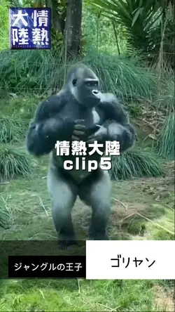 情熱大陸