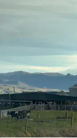 Dairy Farm NZ