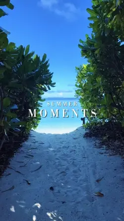Summer Moments