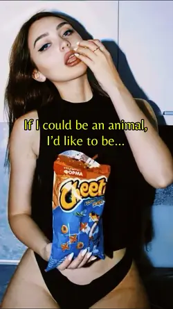 Like an animal 