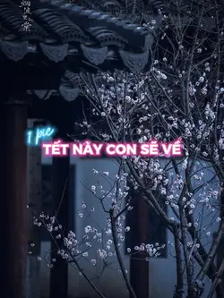 Tết này con sẽ về