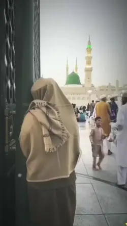 Mizamuddin afghan