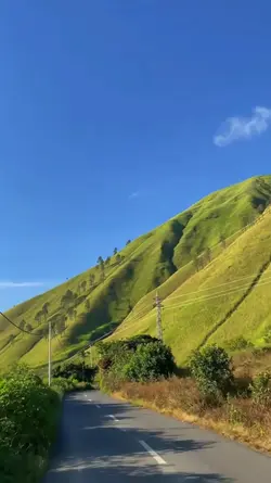 untungnya 
