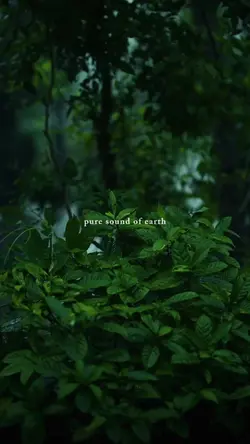 pure sound of earth