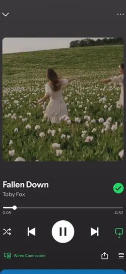 Spotify Overlay