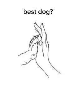 Best dog ?