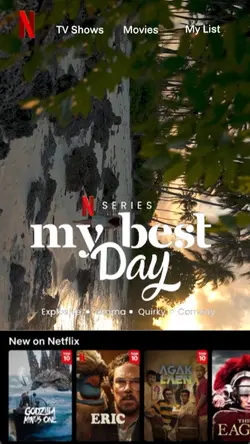 NETFLIX Series