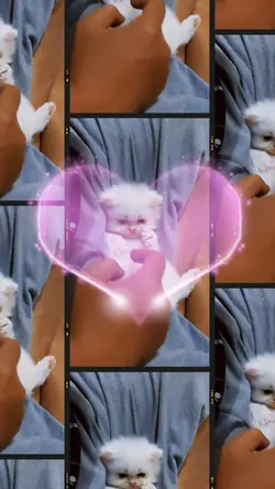 Cat's Vlog