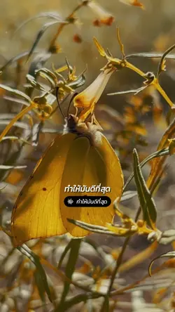 ทำให้มันดีที่สุด