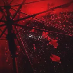 Roi-VideoClub