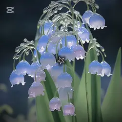 은방울꽃 감성.