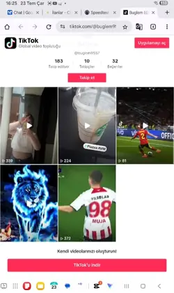 ark tiktoku var vala