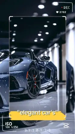 car's elegant