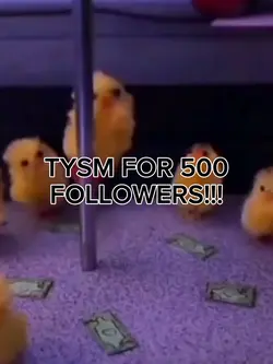 TYSM FOR 500!!!