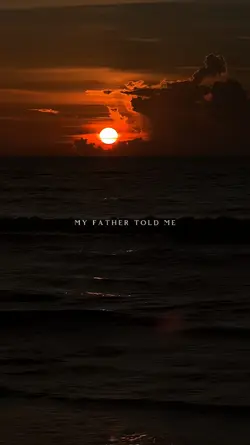 THE NIGHTS