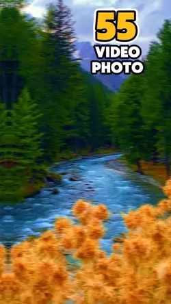 55 video or photo 