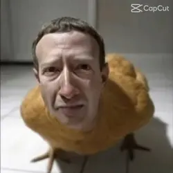 Noooo