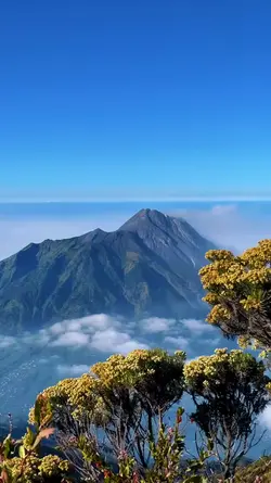 mountain aesthetic