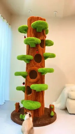 Pet Supplies