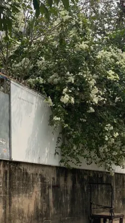 mẫu 1 ảnh