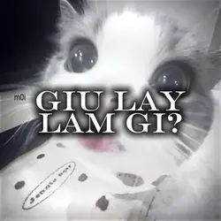 GIU LAY LAM GI