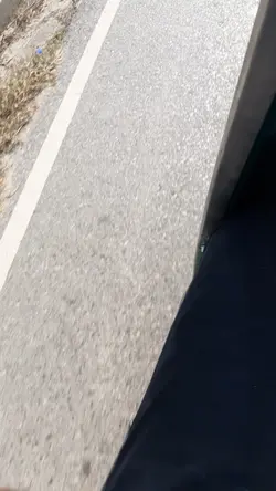 Mini Vlog 