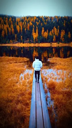 23 videos or photos 