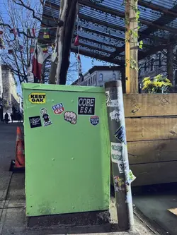 aesthetic