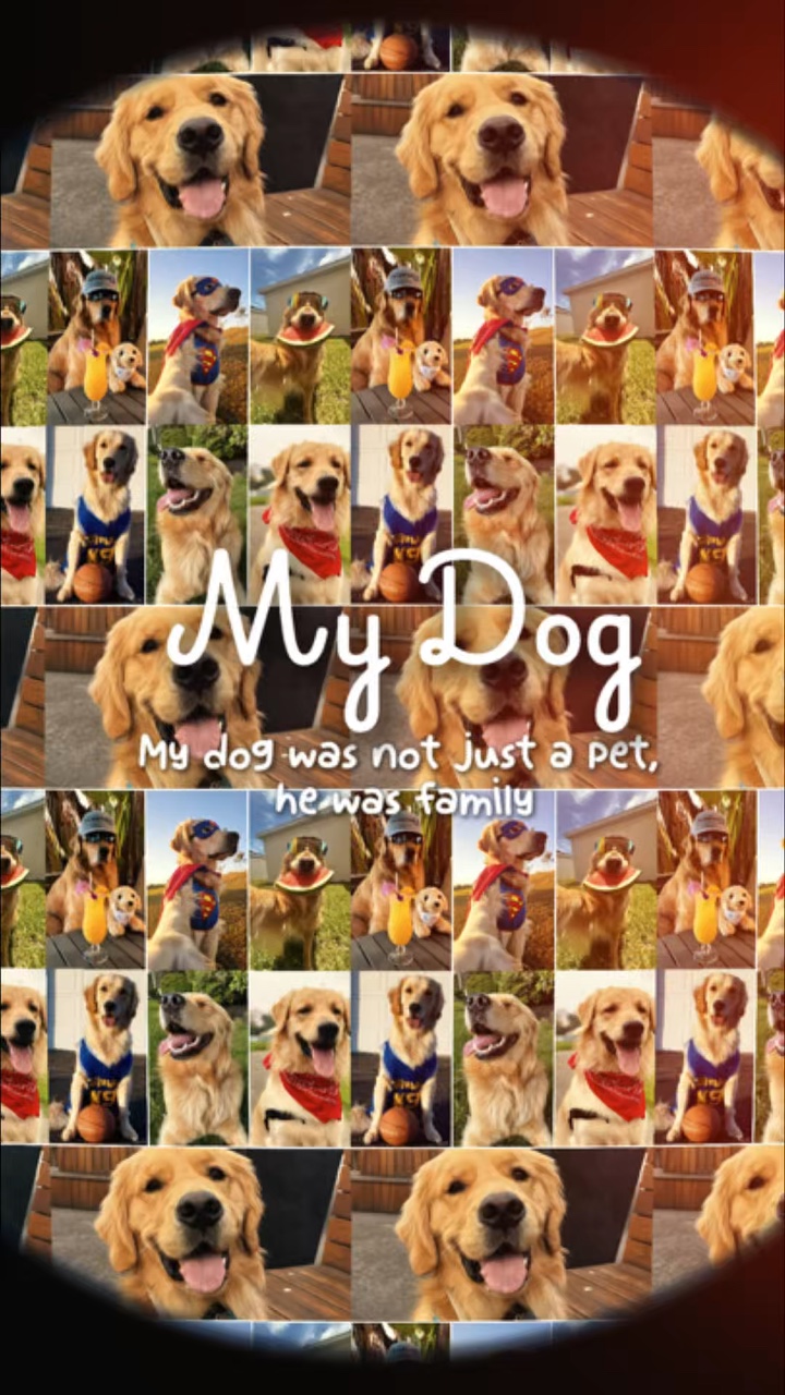 capcut template cover