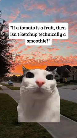 ketchup is smoothie?