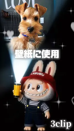 壁紙🤳