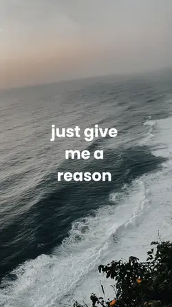 just give me a reaso