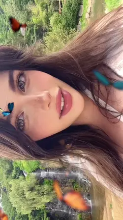 butterflies