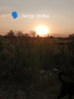 twój idol 