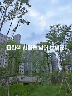 파란색 사진을 넣어 보세요.