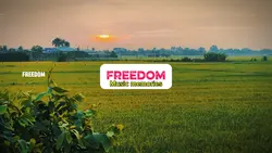 Freedom