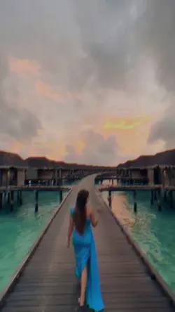 mini vlog