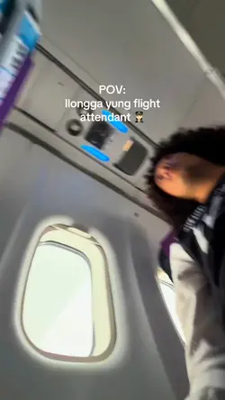 fight attendant 