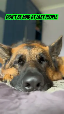Lazy