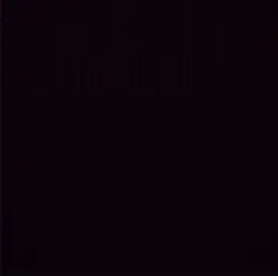 50 followers special