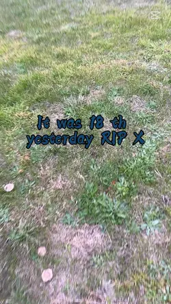 RIP X