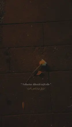 طرقاتي مليئة بالشوك 