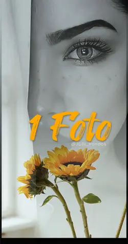 1 Foto