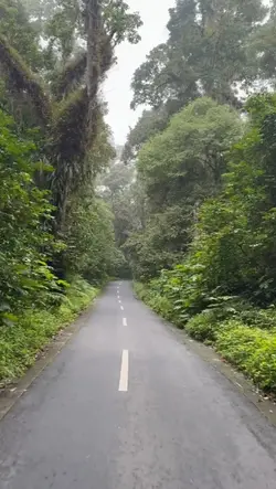panorama alam 