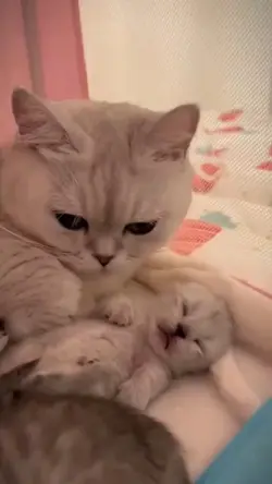 Adorable