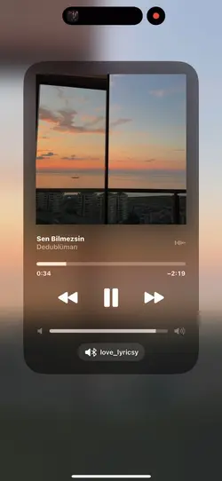 Sen bilmezsin