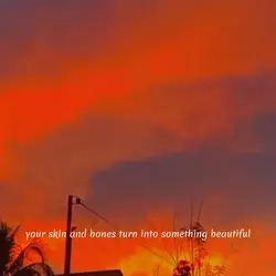 SUNSET CLIPS 