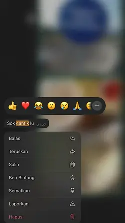 sok cantik lu